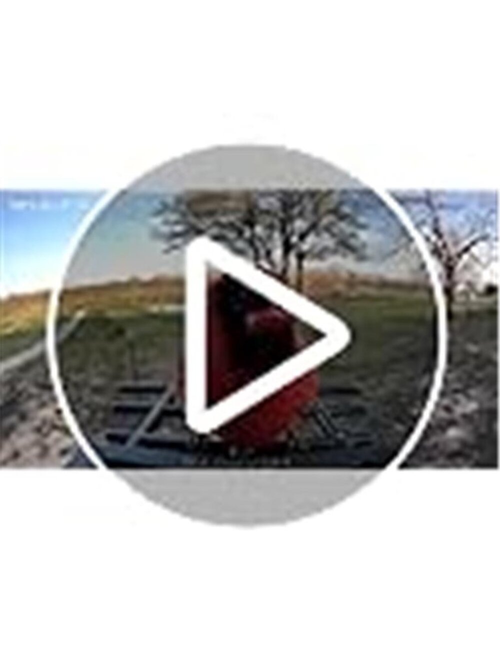Smart Bird Feeder with Camera Solar Powered 2K HD Video, 10,000+ Species AI - Picture 7 of 7